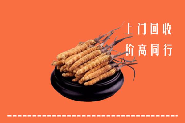 高价求购：北京市通州区回收散虫草
