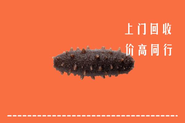 高价求购：北京市通州区回收海参